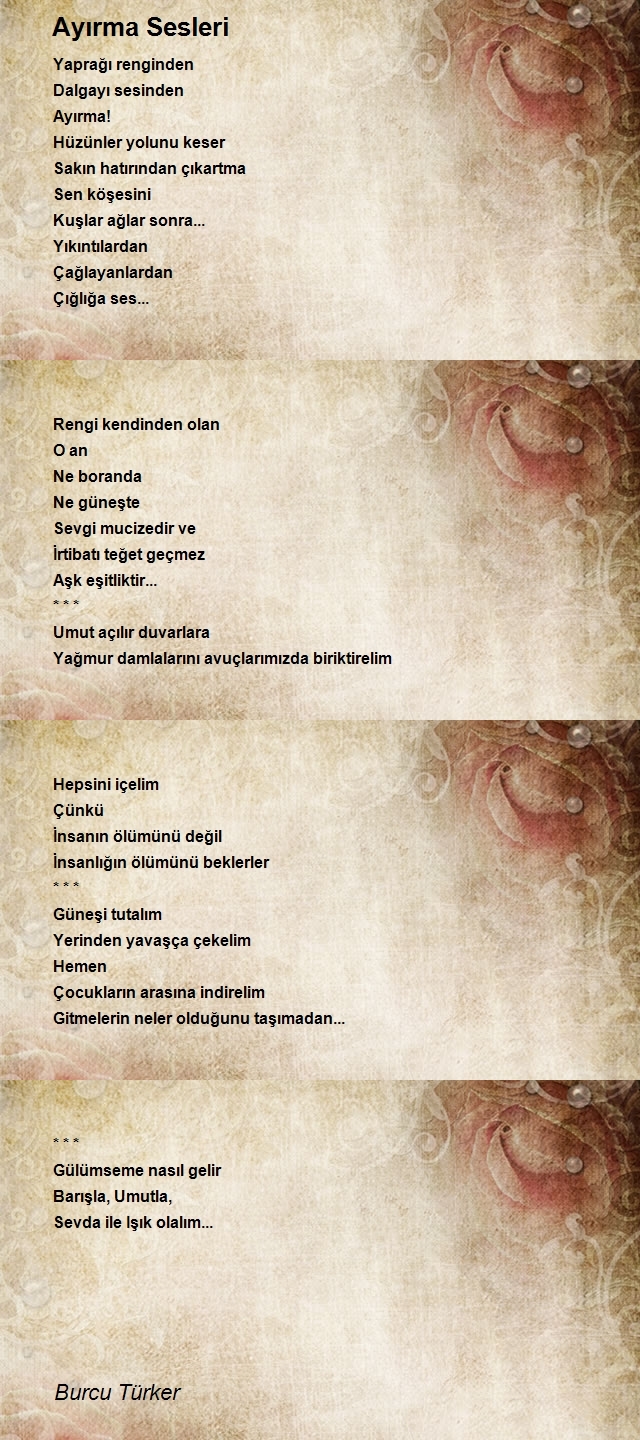Burcu Türker