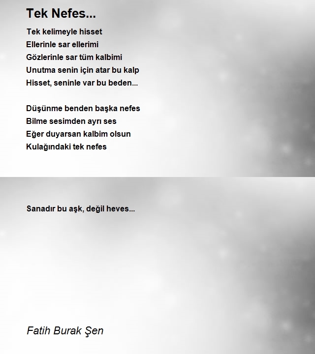 Fatih Burak Şen