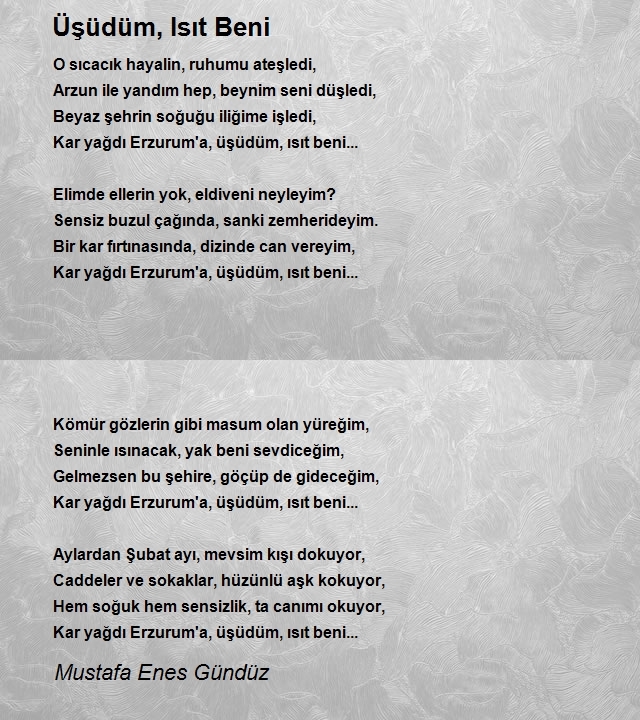 Mustafa Enes Gündüz