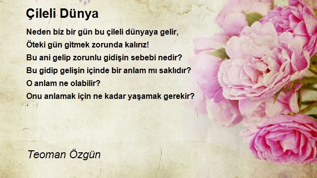 Teoman Özgün