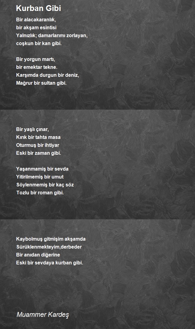 Muammer Kardeş