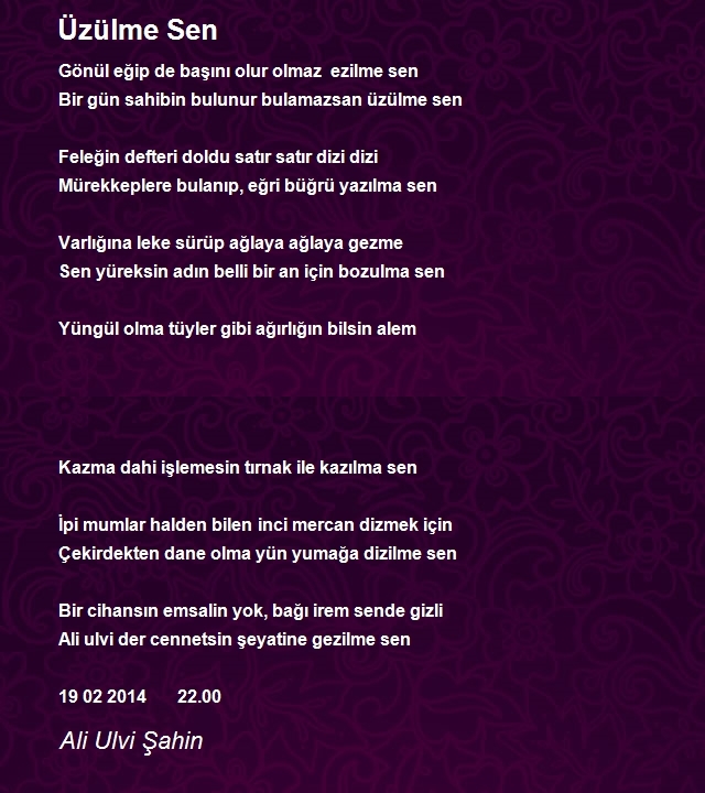 Ali Ulvi Şahin