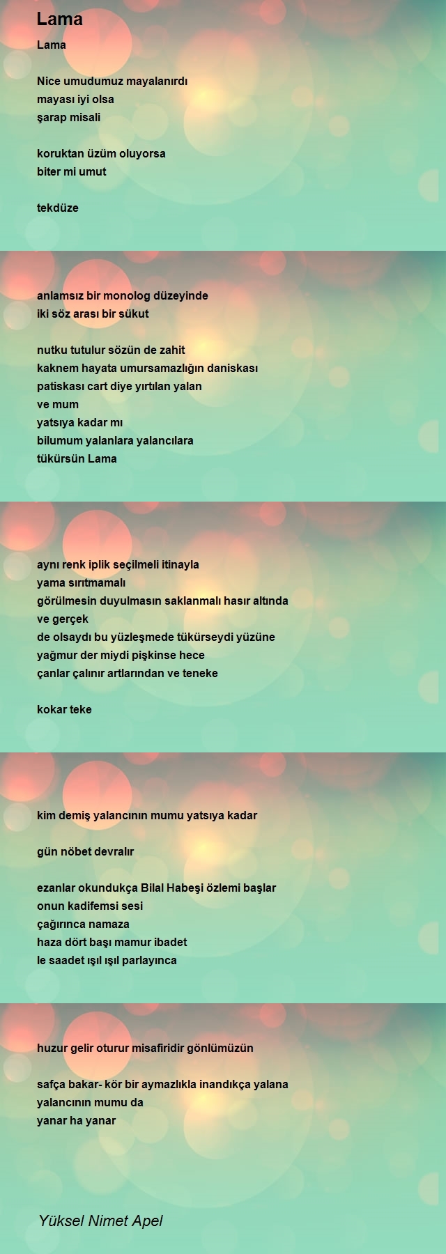 Yüksel Nimet Apel