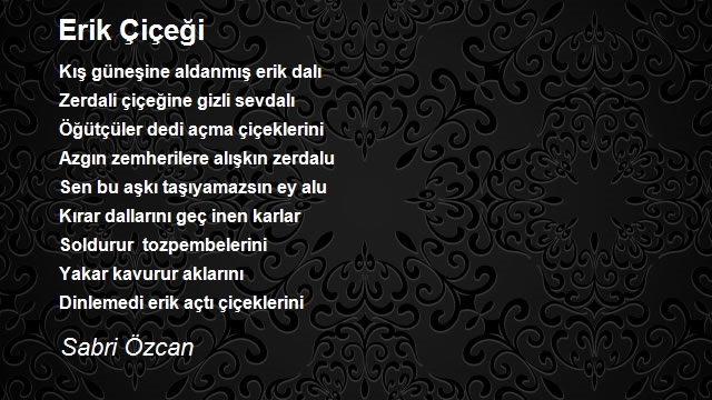 Sabri Özcan