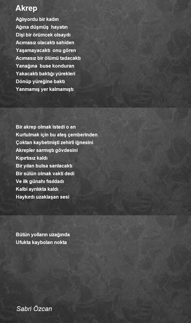 Sabri Özcan