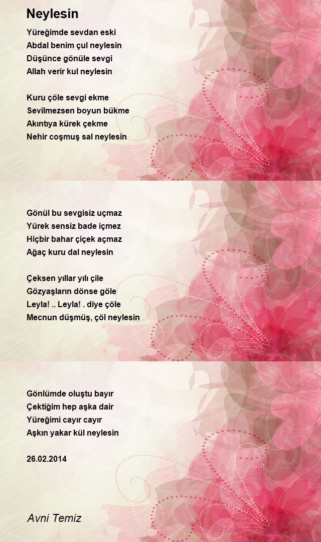 Avni Temiz