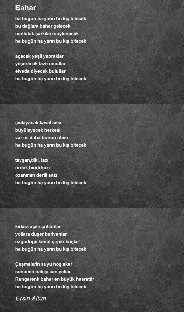 Ersin Altun