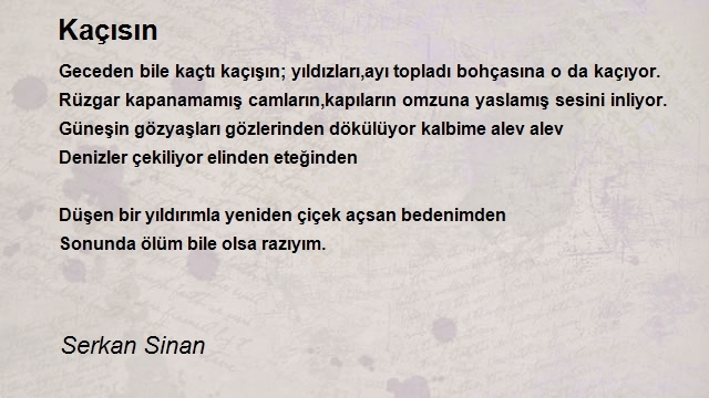 Serkan Sinan