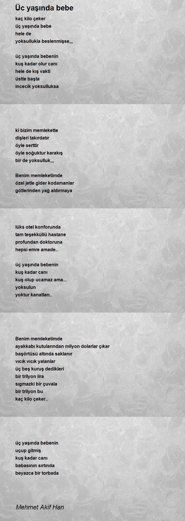 Mehmet Akif Han