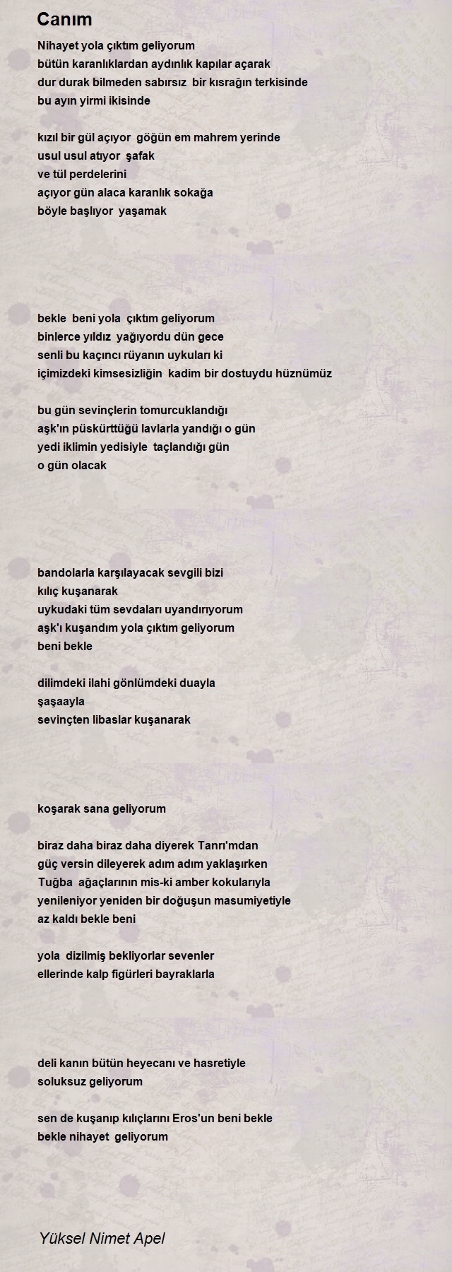 Yüksel Nimet Apel