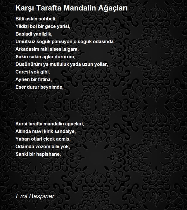 Ressam Erol Baspinar