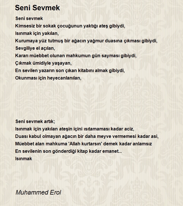 Muhammed Erol