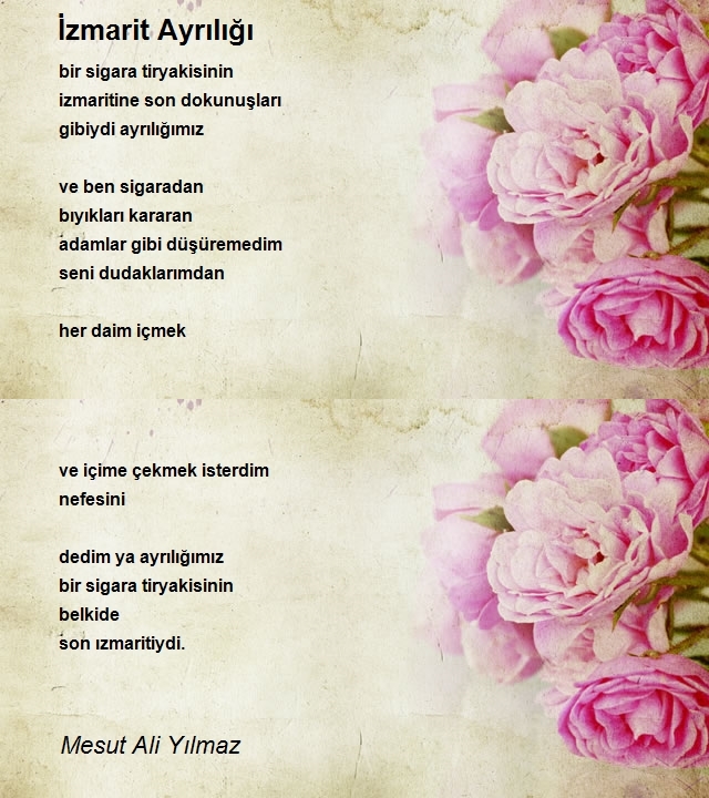 Mesut Ali Yılmaz