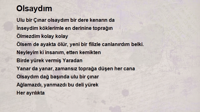 Nursevım Aksoy