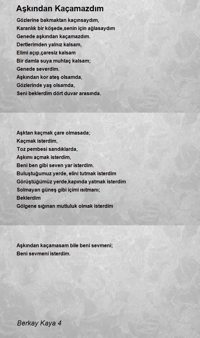 Berkay Kaya 4