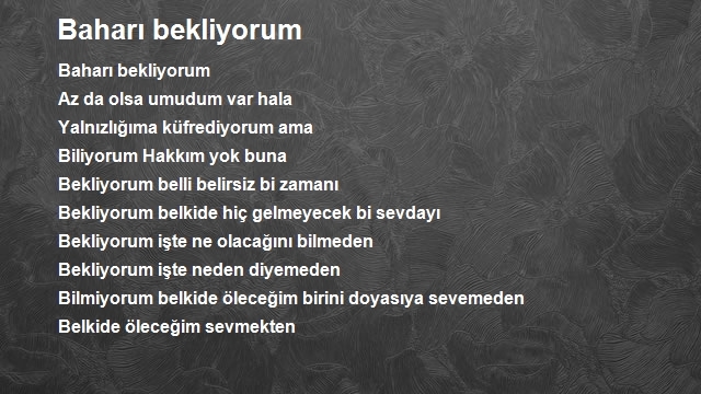 Ayhan Yılmaz
