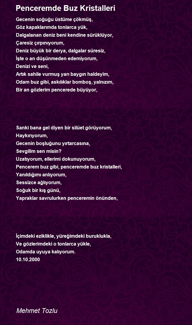 Mehmet Tozlu