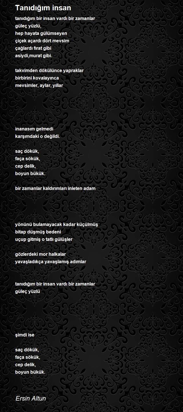 Ersin Altun