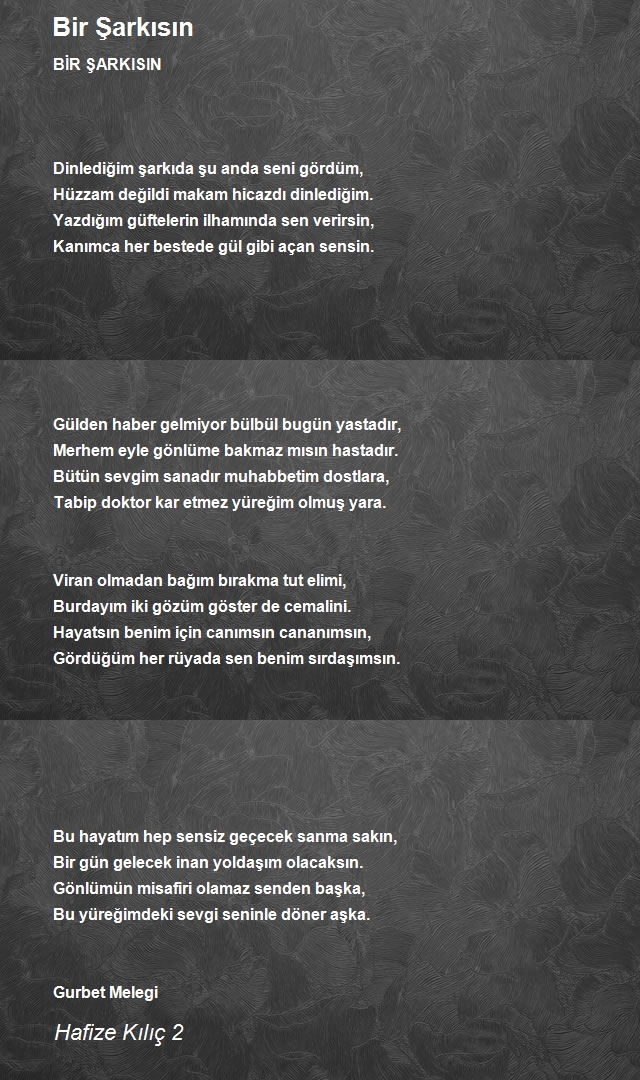 Hafize Kılıç 2