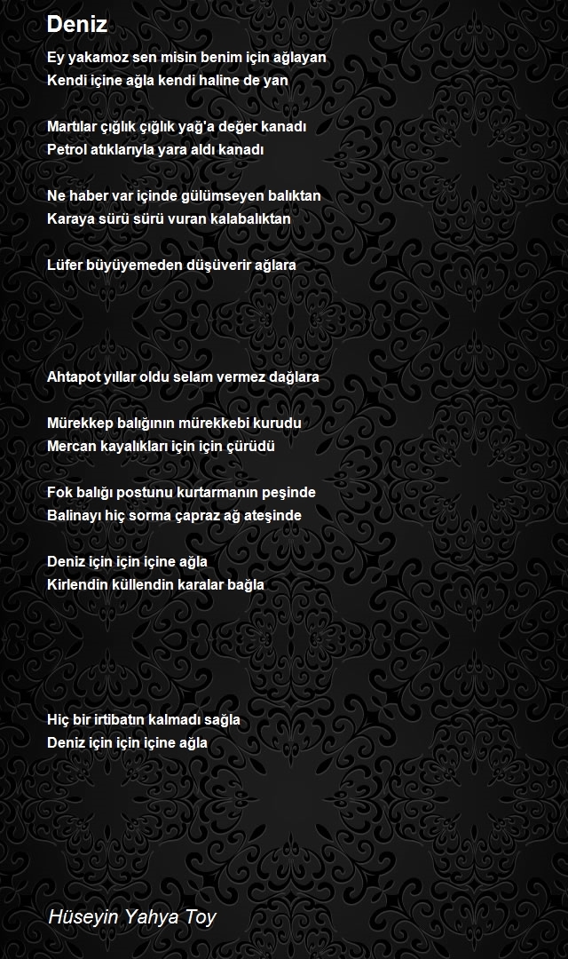 Hüseyin Yahya Toy