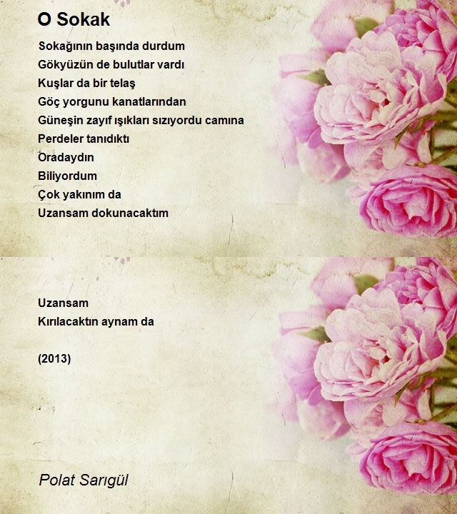 Polat Sarıgül