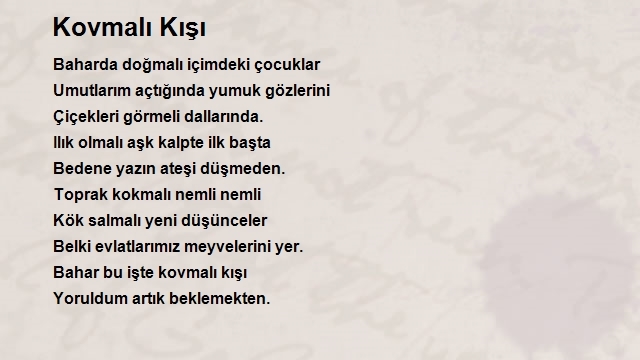 Ediz Tevfik