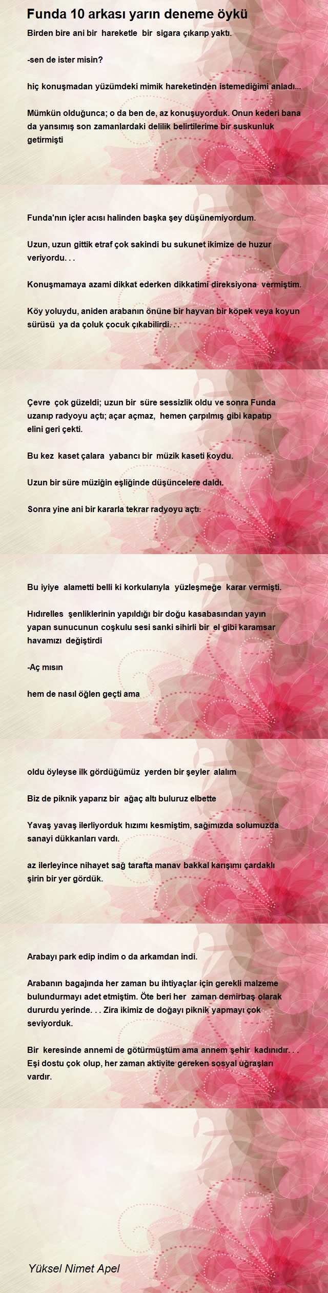 Yüksel Nimet Apel