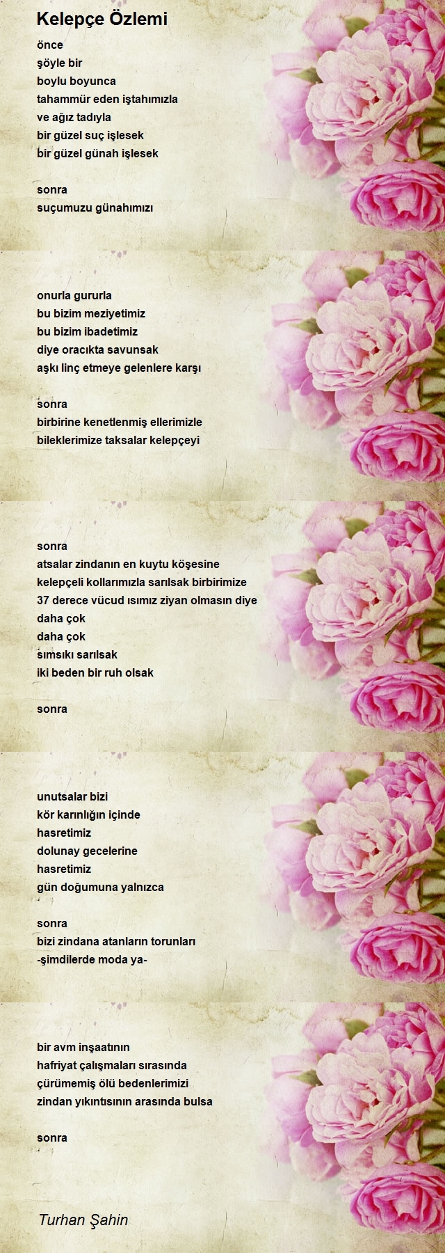 Turhan Şahin
