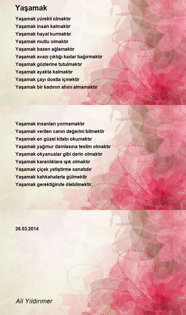 Ali Yıldırımer