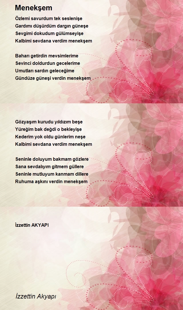 İzzettin Akyapı