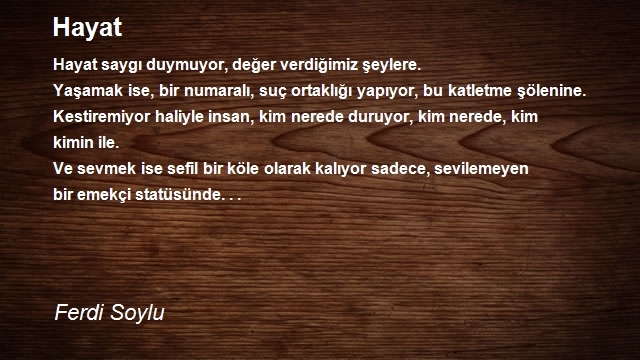 Ferdi Soylu
