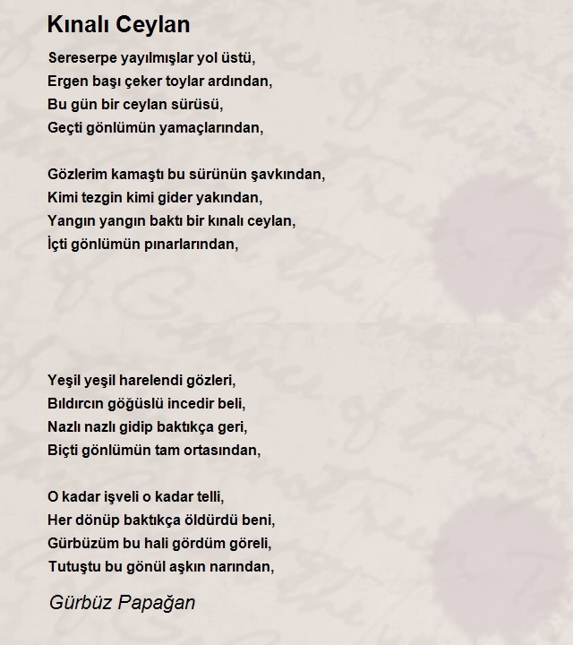 Gürbüz Papağan
