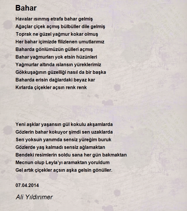 Ali Yıldırımer