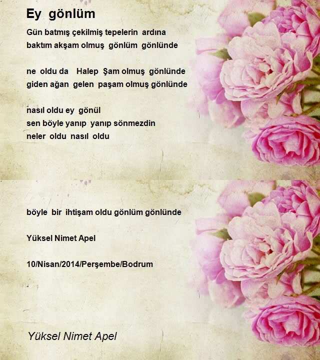 Yüksel Nimet Apel
