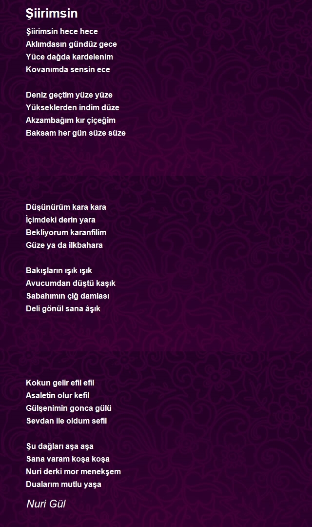 Nuri Gül