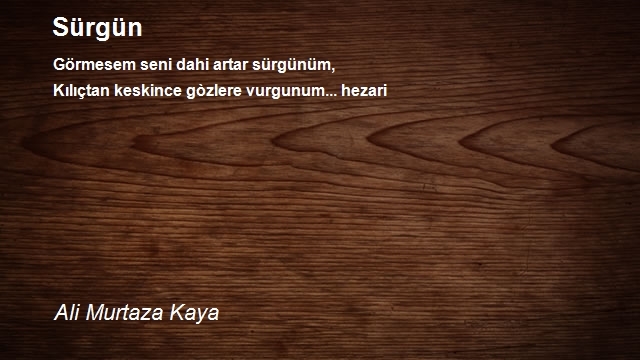 Ali Murtaza Kaya