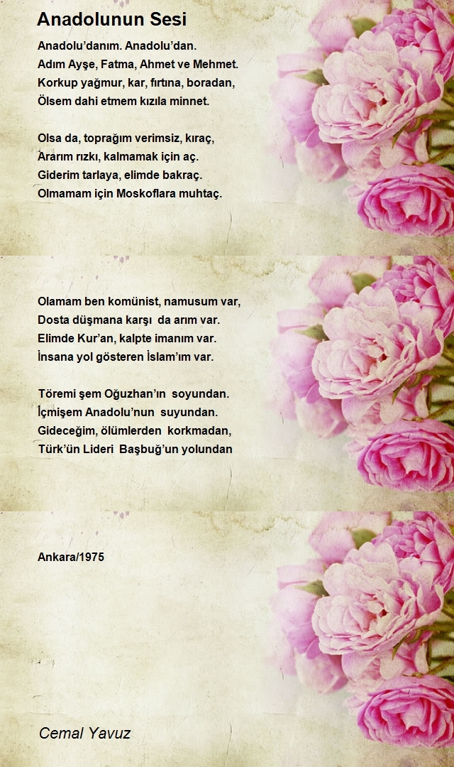Cemal Yavuz