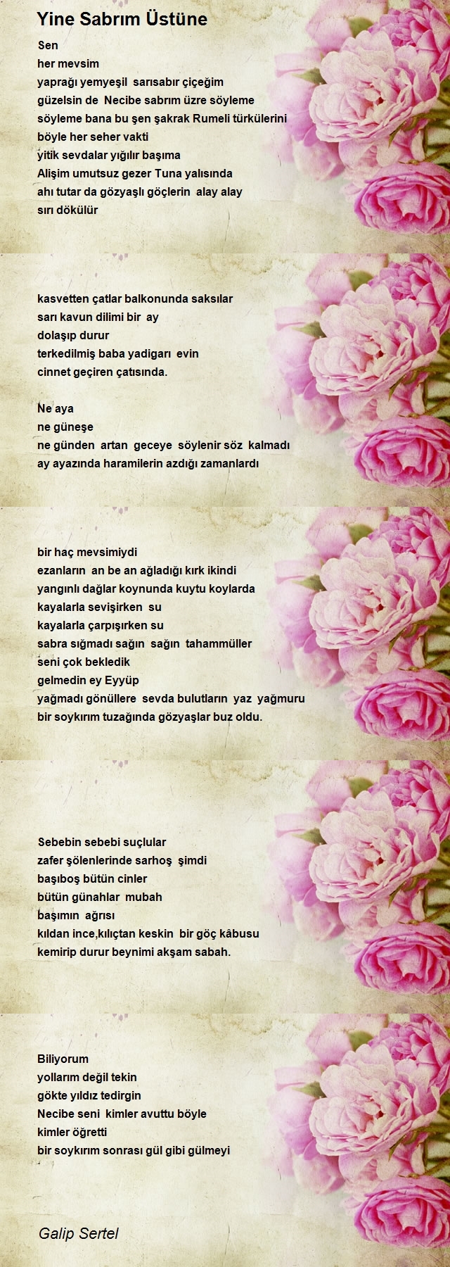 Galip Sertel