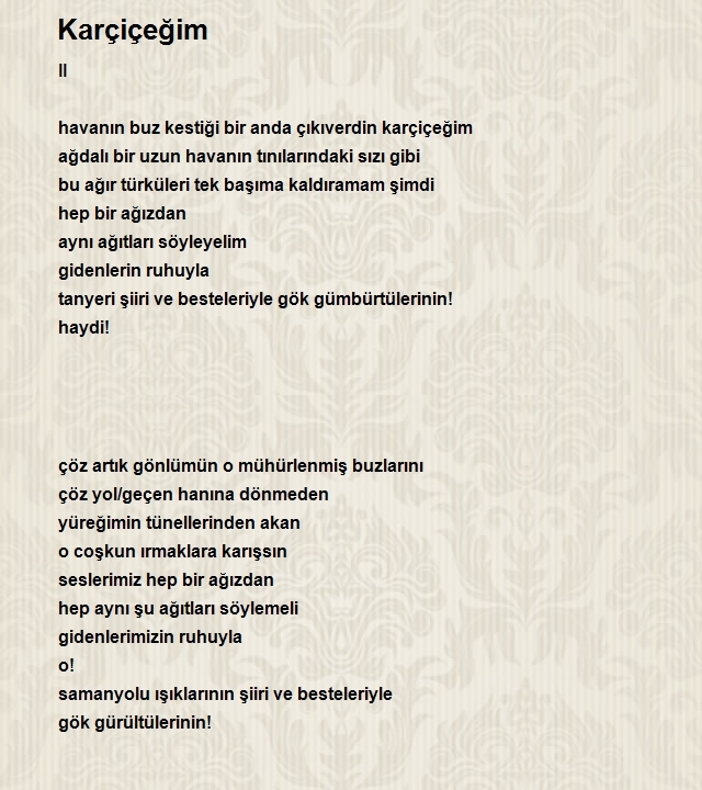 Gürel Sürücü