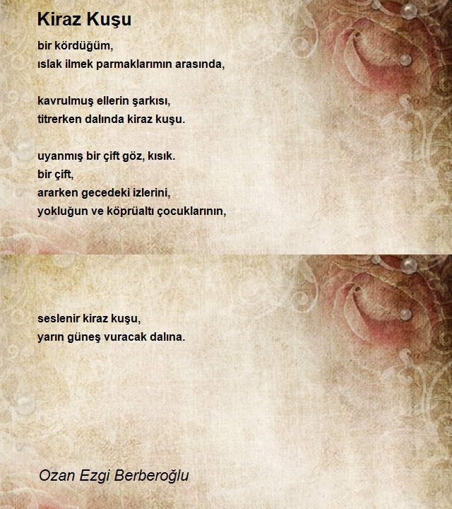 Ozan Ezgi Berberoğlu