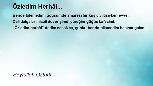 Seyfullah Öztürk