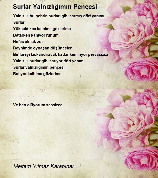 Meltem Yılmaz Karapınar