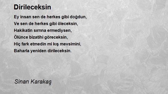 Sinan Karakaş