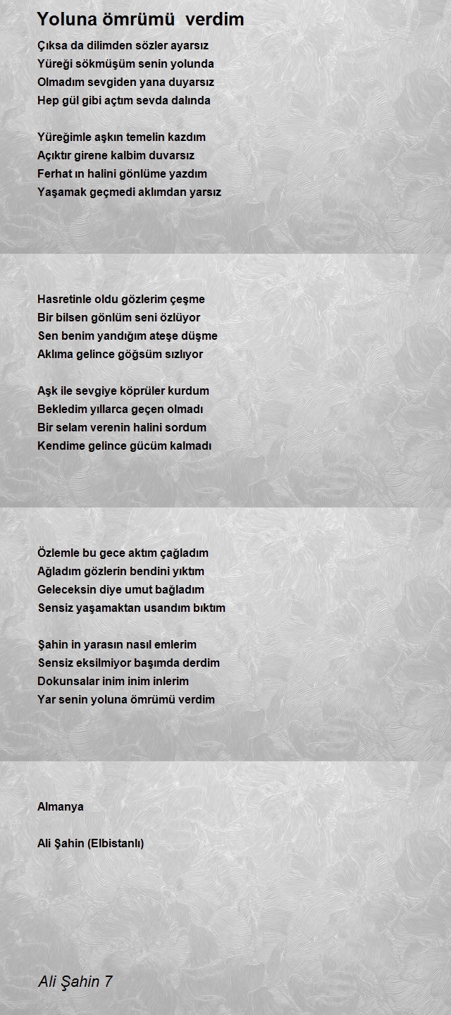 Ali Şahin 7
