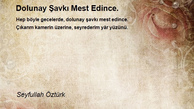 Seyfullah Öztürk