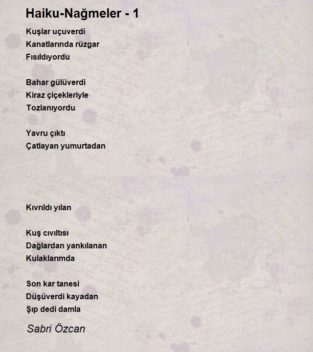 Sabri Özcan
