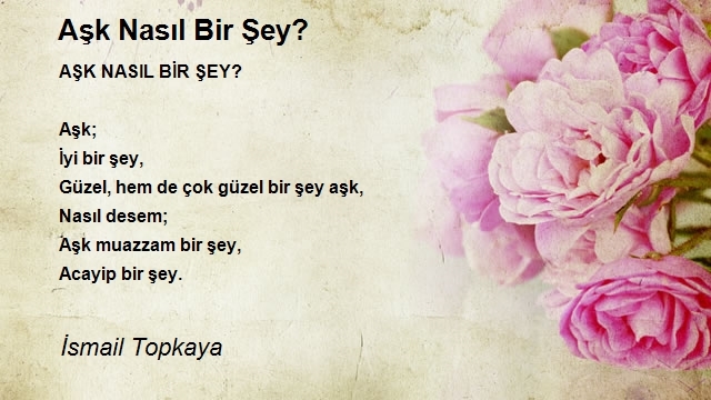 İsmail Topkaya