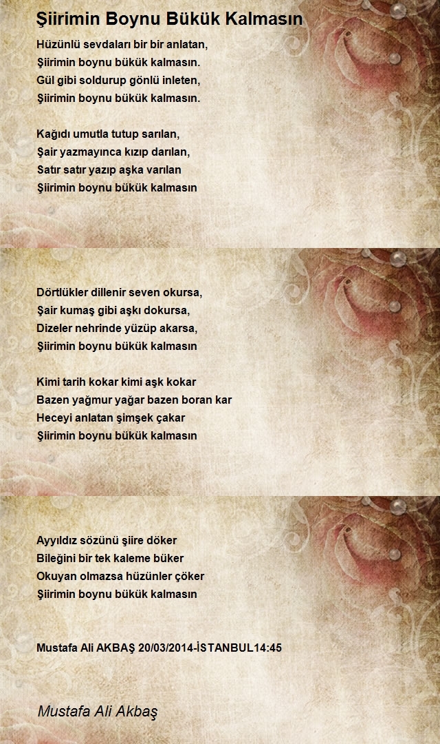 Mustafa Ali Akbaş