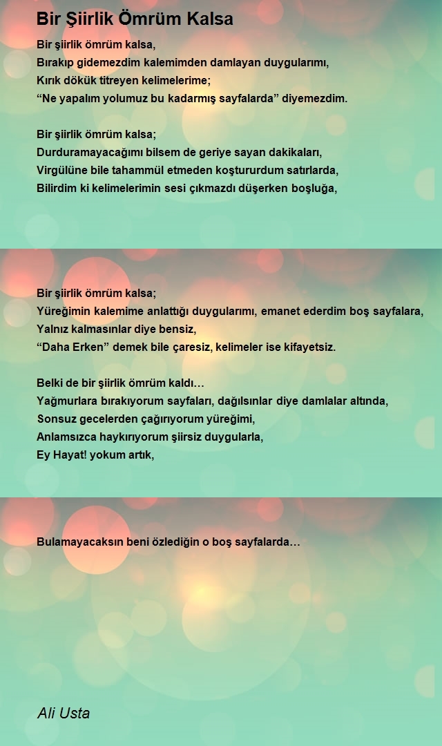 Ali Usta