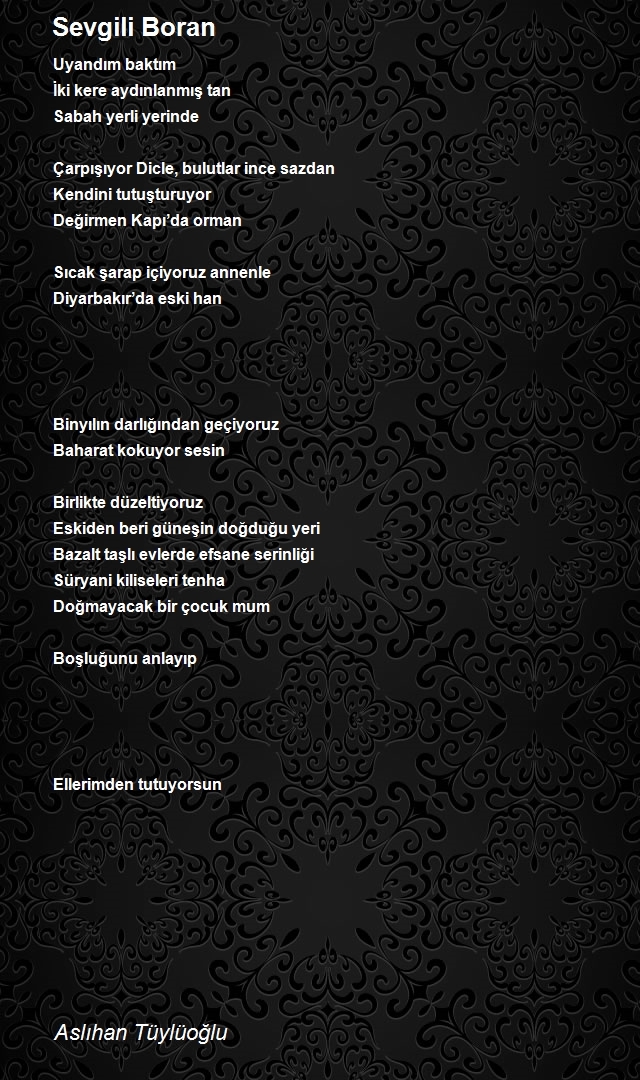 Aslıhan Tüylüoğlu